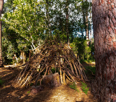 building shelter in the wild
