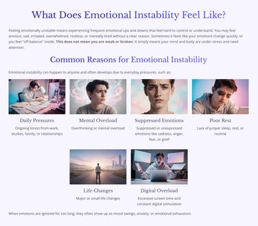 a website page explaining common reasons for Emotional Instability