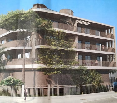 quand le béton remplace les arbres