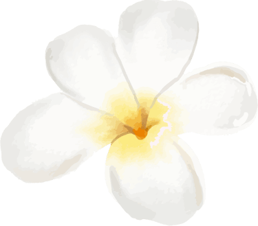 fleur-de-frangipanier