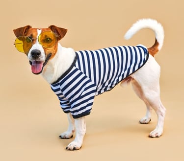 Perrito blanco con cafe usando una camisa de rallas y lentes amarillos en un fondo cafe claro
