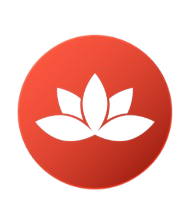 no preservatives natural organic