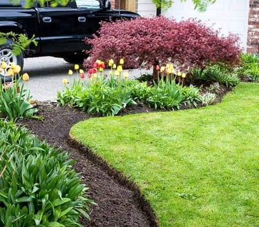 garden bed crisp & perfect edging