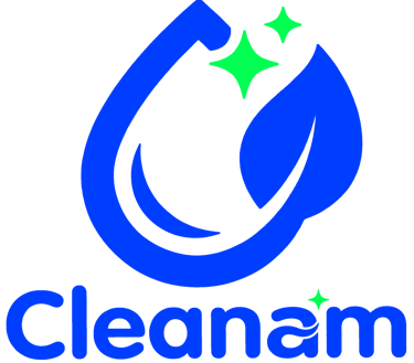 Cleanam