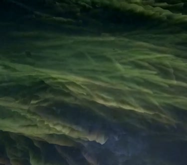 digital art, video installation,  joanna wlaszyn