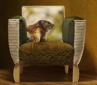 Fauteuil Marmotte Au bonheur des postérieurs
