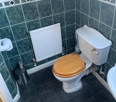 Toilet repair carried out by local plumbers in Hereford