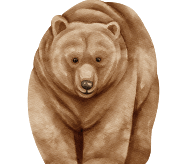 ours brun aquarelle