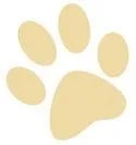 dog paw yellow