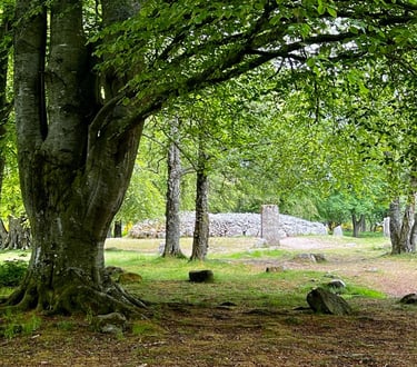 trees, standing stones and stone burial cairn