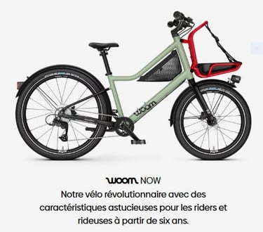 vélo cargo enfant