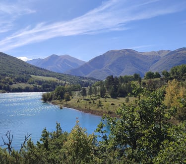 Ausschnitt eines Sees mit Bergen im Hintergrund und Baumkronen im Vordergrund