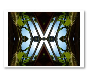 Reproduction Lamarcelle French Butterfly