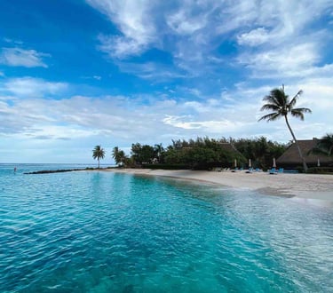 Plage de Huahine avec des cocotiers, en Polynésie française.