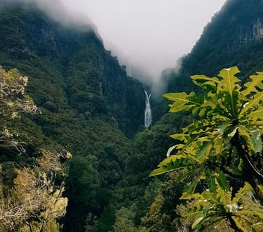Levada 25 Fontes gorge with lush greenery and a cascading waterfall