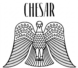 Chesar logo