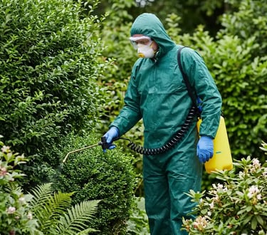 Waso nest removal expert preparing to perform treatment near a bush