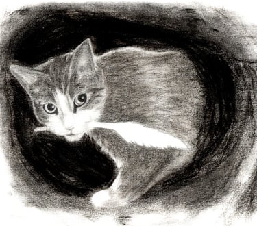 chat au crayon graphite avec une plume dans la gueule