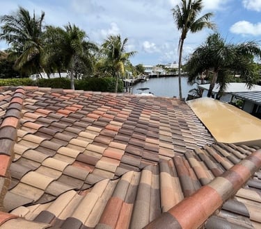 tile roof soft washing services