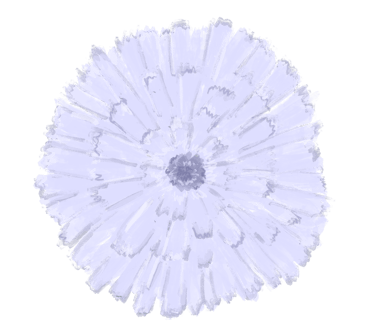 Sketched calendula in lavendar