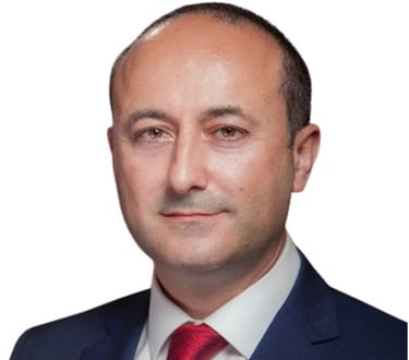 Project Management, Commercial Management, Dispute resolution, Program management, schedule