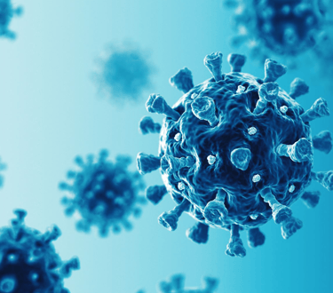 Infectious positive human plasma