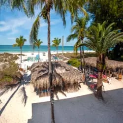 Best live cams on Anna Maria Island