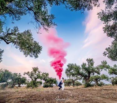 gender reveal