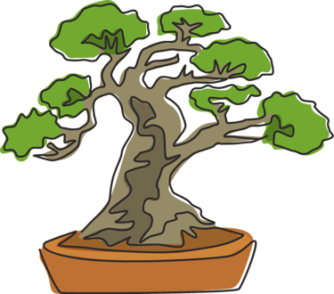 bonzai tree beauty patience simplicity