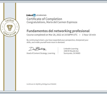 certificado: Fundamentos del networking profesional