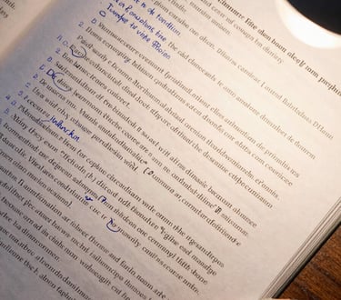 Close-up overhead view of an annotated academic manuscript page, dense handwritten margin notes in blue ink alongside printed text, a pencil and eraser resting at the lower edge, soft tungsten desk lamp light warming the paper from the right, natural shadows across the page surface