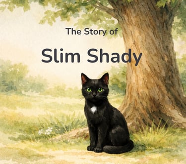 Book cover of The Story of Slim Shady, published by an independent publisher.