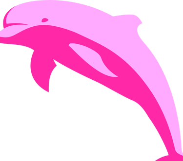pink dolphin tour with pig island snorkelling