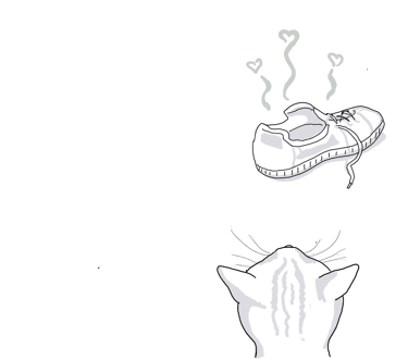 drawing of a cat loving on a stinky shoe