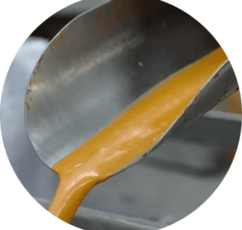 Sea Buckthorn pulp extraction process separating seeds and preserving natural antioxidants at Wellwi