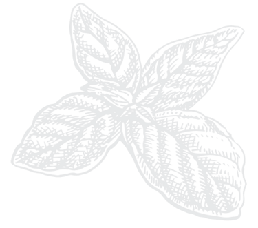 oin Food Mindz to help build a more efficient, sustainable, and supportive community.