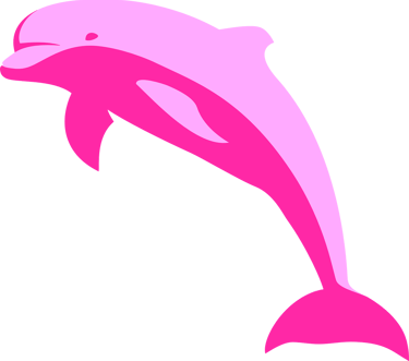 pink dolphin tour with pig island snorkelling