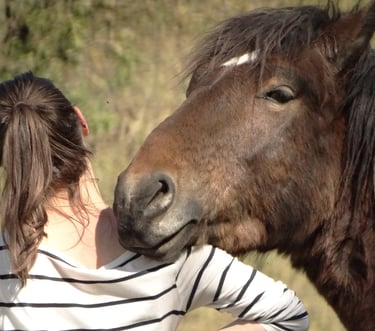 Cheval posant sa tête sur l'épaule d'une jeune fille de dos