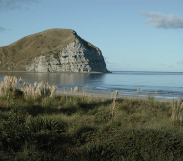 Mahia Beach in the morning, looking towards Mokotahi cliffs.