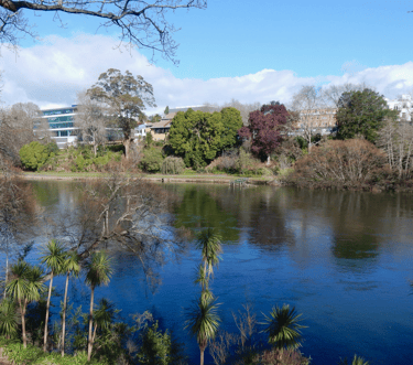 Waikato River in Hamilton Central from Parana Park