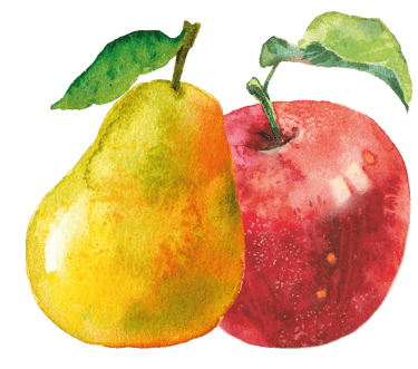 Eine roter Apfel und eine gelbe Birne