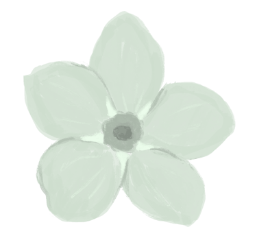 Sketched forget-me-not flower in pale green