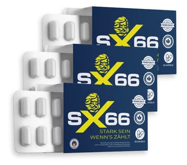 SX66 Site Officiel France | Jusqu'à -46 % + Livraison Offerte