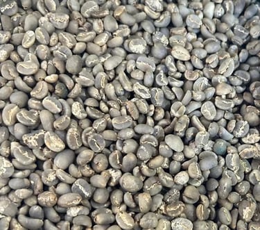 Arabica Indonesia Mandailing Specialty – semi-washed, flavors of nutty, dark chocolate, clove, with 