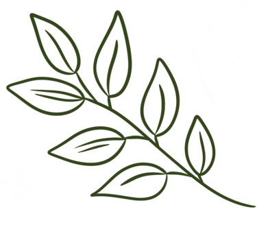 dessin d'une branche avec des feuilles