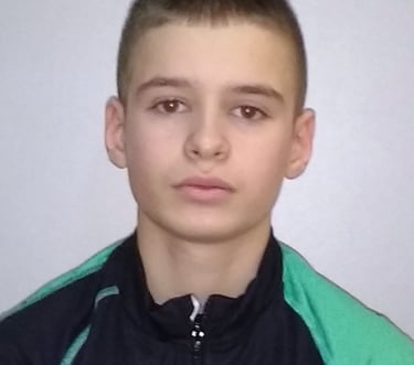 Luka Rajšić