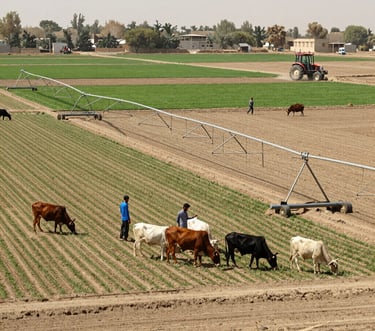 a man riding a skateboard down the side of a ramp