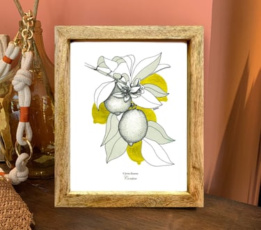 illustration citron de corse avec cadre bois et verre de protection sur une commode en bois