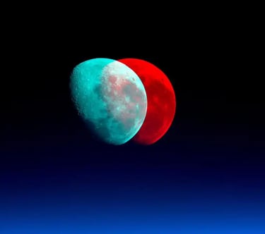 digital art, video installation,  joanna wlaszyn