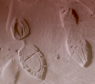 Footprints in the sand